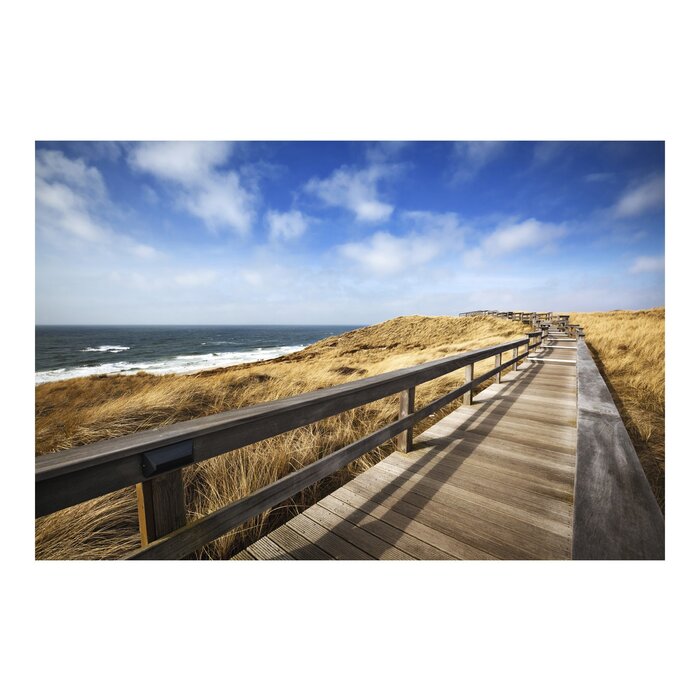 Highland Dunes Unadilla North Sea Walk 2.25m x 336cm